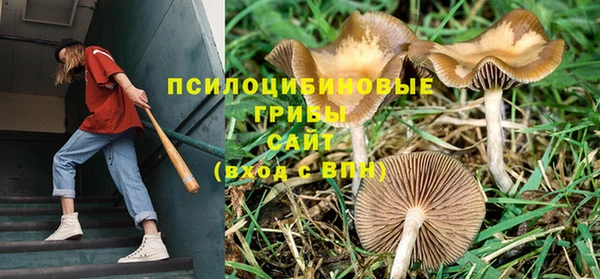 сатива Верхнеуральск